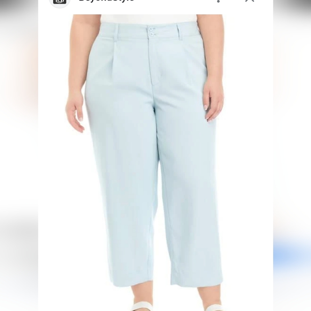 Wonderly HIGH RISE PLEATED PANTS CROPPED LENGTH WIFE LEG SZ LARGE LT BLUE